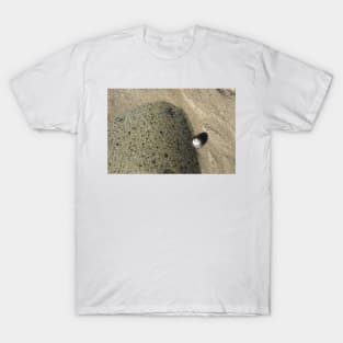 Alone on the Beach T-Shirt